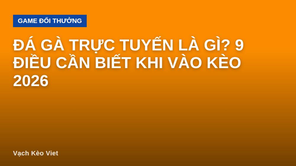 Đá gà trực tuyến là gì? 9 điều cần biết khi vào kèo 2026
