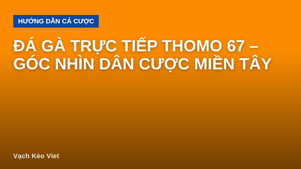 Đá gà trực tiếp Thomo 67 – Góc nhìn dân cược miền Tây